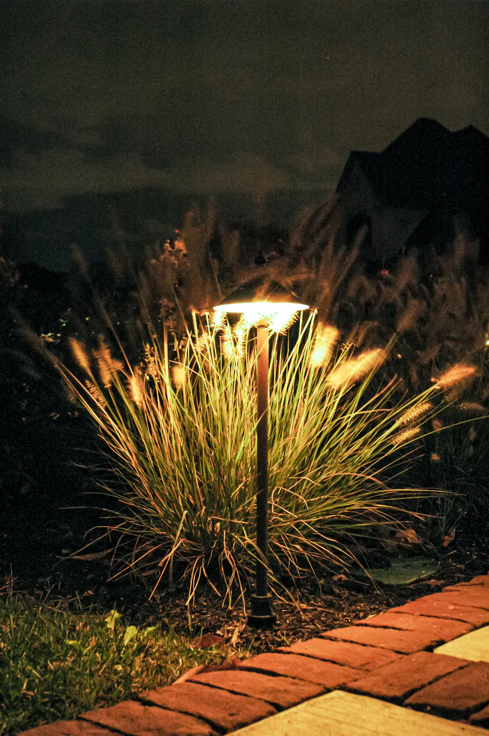Close path light illuminating ornamental grass, brick paver edge, and nighttime planting bed